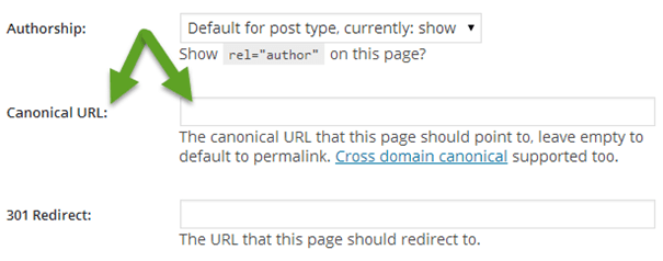 Кроме того, если вы управляете своим сайтом в WordPress, его плагин SEO поможет вам установить канонический URL, заполнив нужное поле